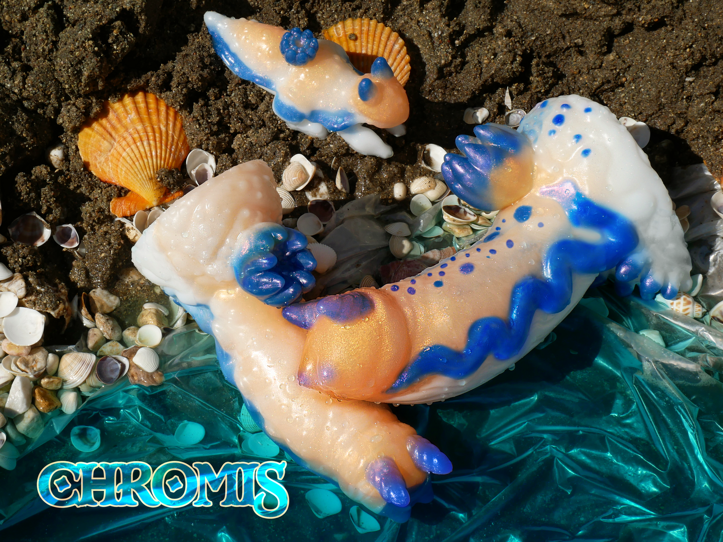 Chromis