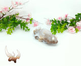 Glow - Medium Sea Slug- Supersoft/00-20