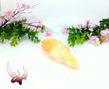 UV/Glow - Medium Slug - Soft/00-30 Firmness