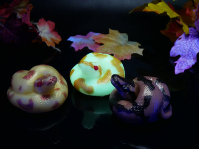 GITD - Medium Ball Python - Supersoft 00-20