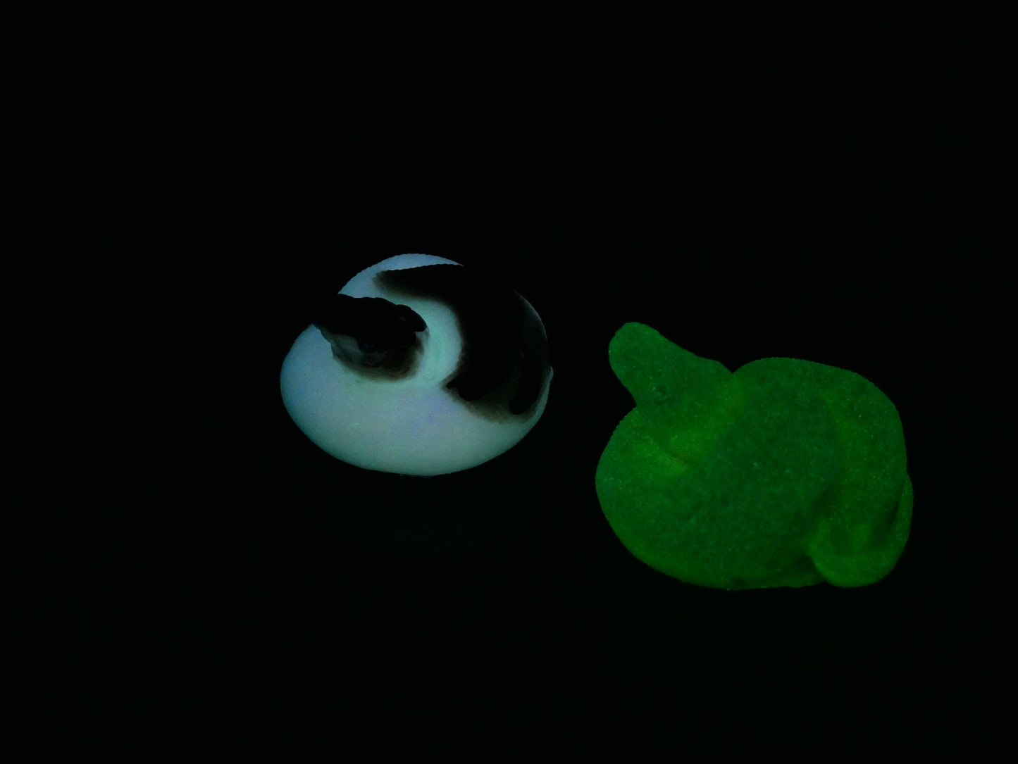 GITD - Medium Ball Python - Supersoft 00-20