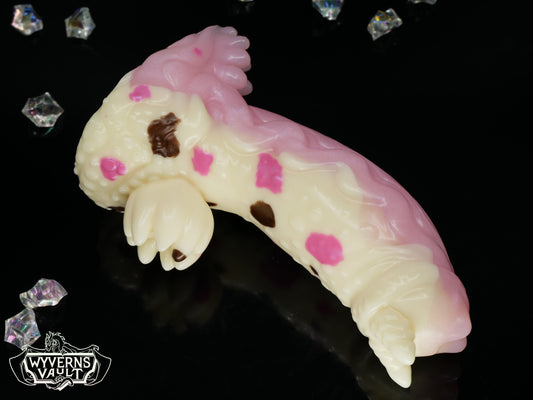 GITD - Medium Chromis - Soft 00-30