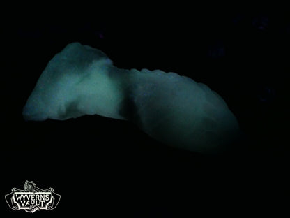 GITD - Small Auros - Medium 00-50
