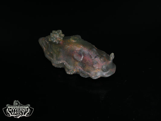 Small Sea Slug- NC31