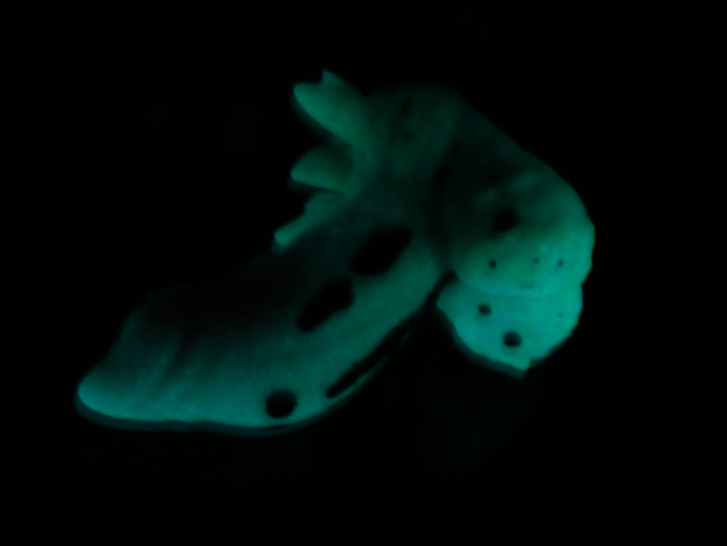 UV/GITD - Small Thistle - Medium 00-50