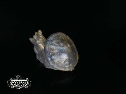 Snailshroom - NC31