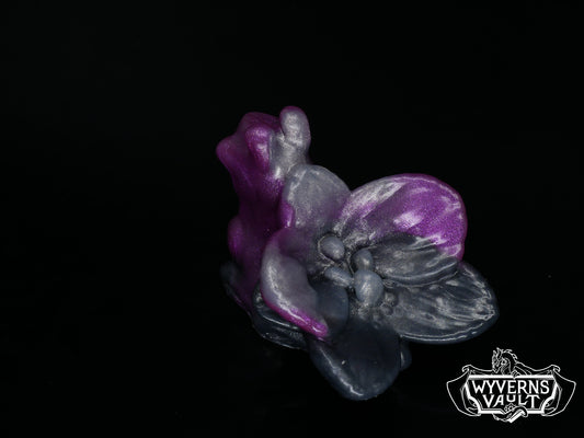 Orchid Snail - Soft 00-30