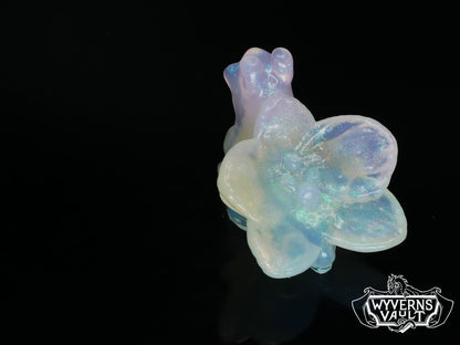 Orchid Snail - NC31