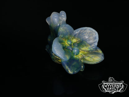 Orchid Snail - NC31