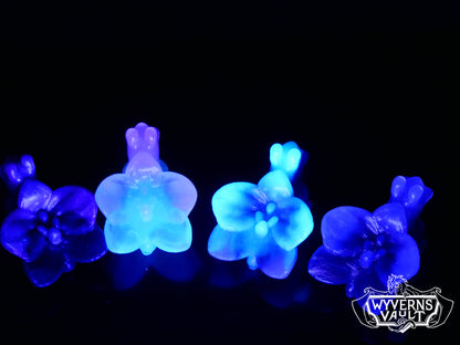 UVGITD - Orchid Snail - Medium 00-50