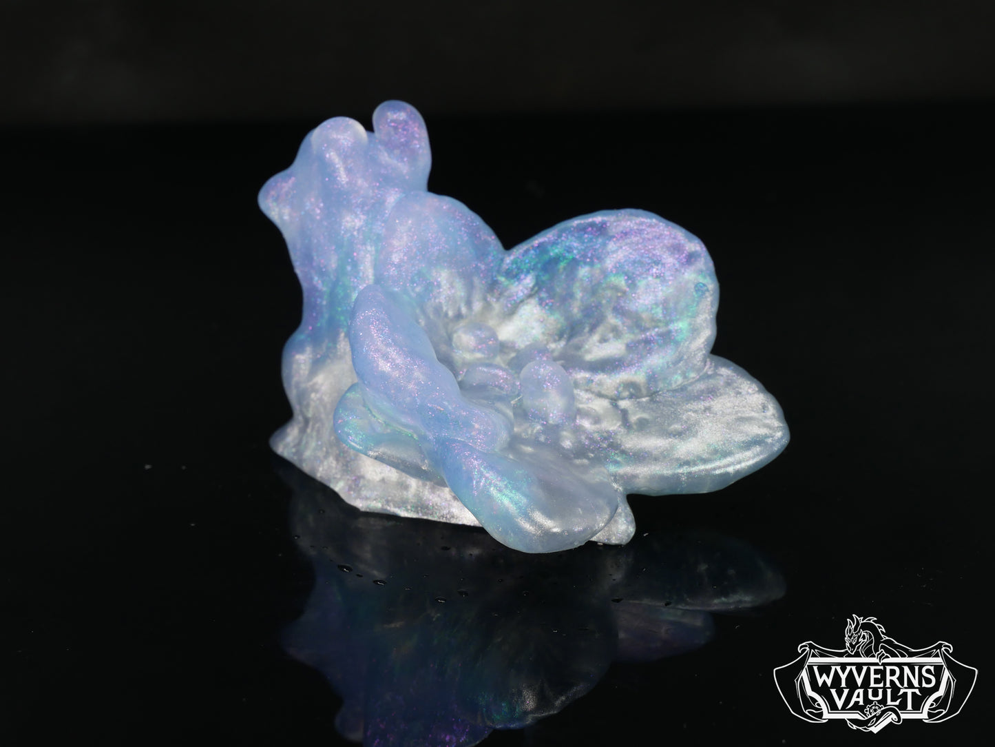 Orchid Snail - NC31