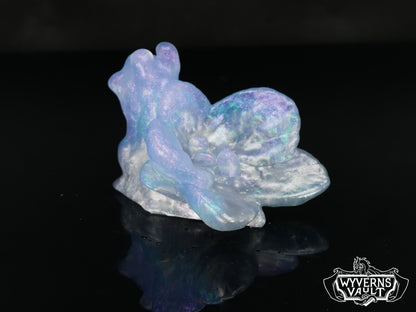 Orchid Snail - NC31