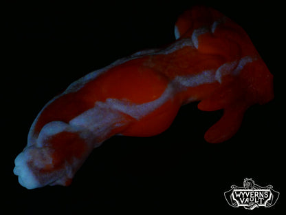 UVGITD - Medium Obscura - Supersoft 00-20