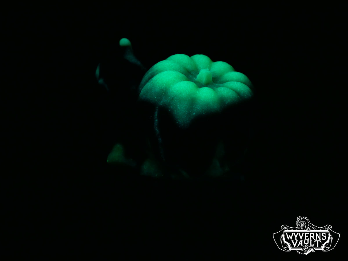 UVGITD - Pumpkin Snail - Soft 00-30