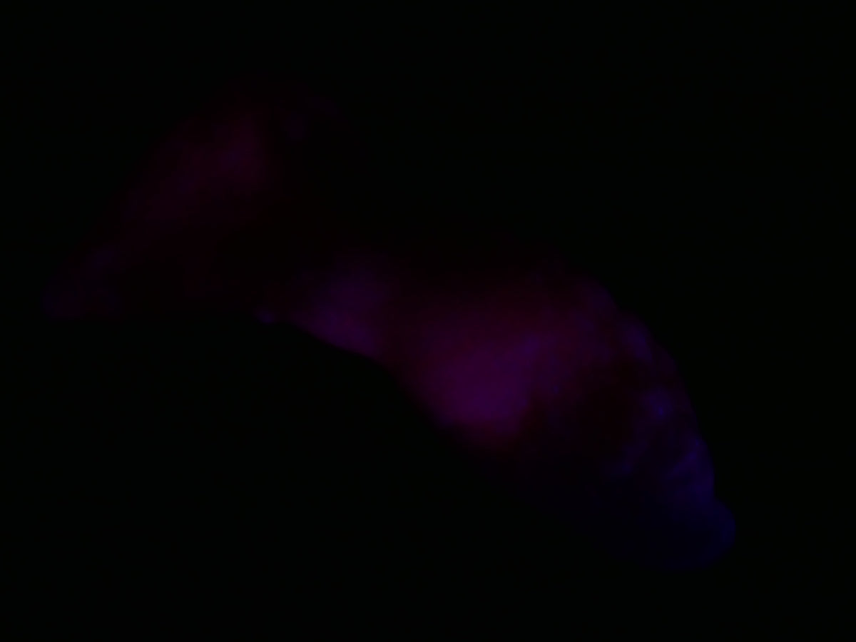 ** UVGITD - Small Auros - Medium 00-50