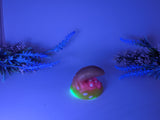 ** UV/GLOW - Aamon - Mini - Supersoft (00-20)