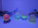 UV/GLOW - Medium Lop Bunny - Supersoft/00-20 Firmness