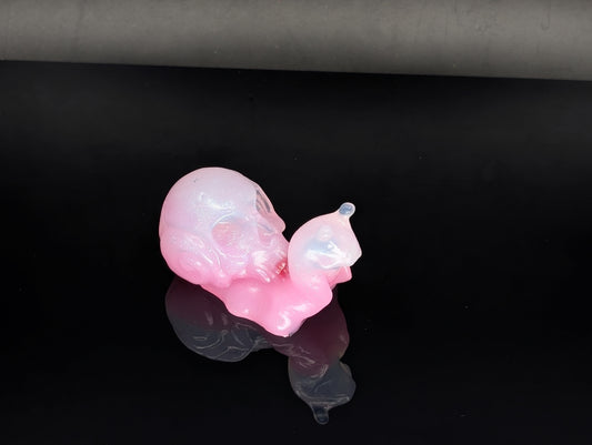 Skull Snail - NC31