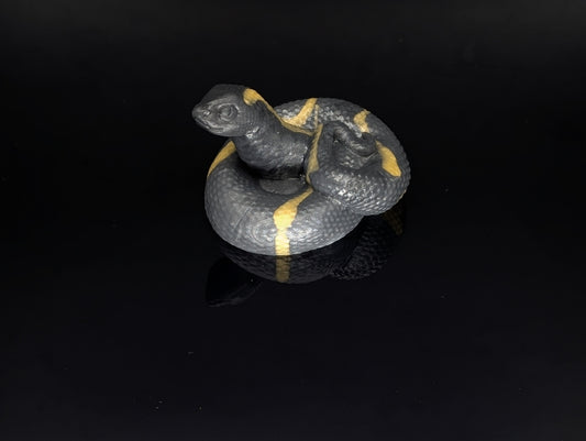 Medium Hognose - Supersoft 00-20