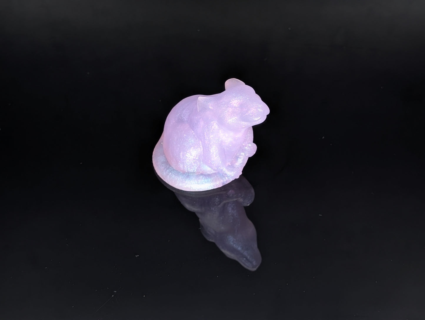 Small Rat - NC31 - G1