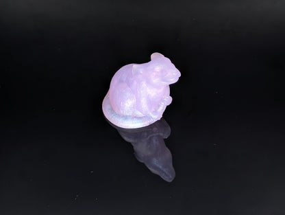 Small Rat - NC31 - G1
